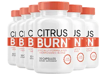 CitrusBurn 6 bottle package