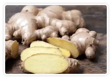 Himalayan Mountain Ginger ingredient image