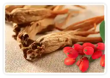 Berberine and Korean Red Ginseng ingredient image